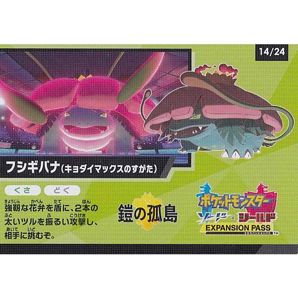 ポケモンカードゲーム 14/24 フシギバナ(キョダイマックスのすがた) ゲットチャレンジ キャンペーンカード ハイクラスパック シャイニースターV